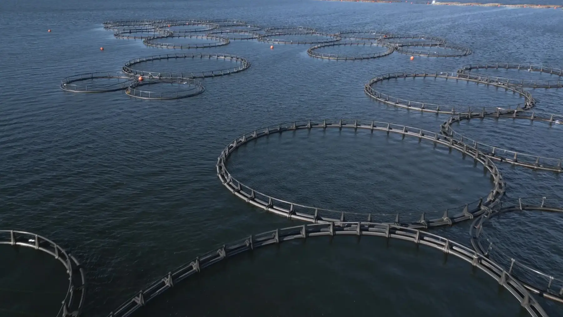 Transport i wymiana wody w akwakulturze — przepisy i pomysły projektowe